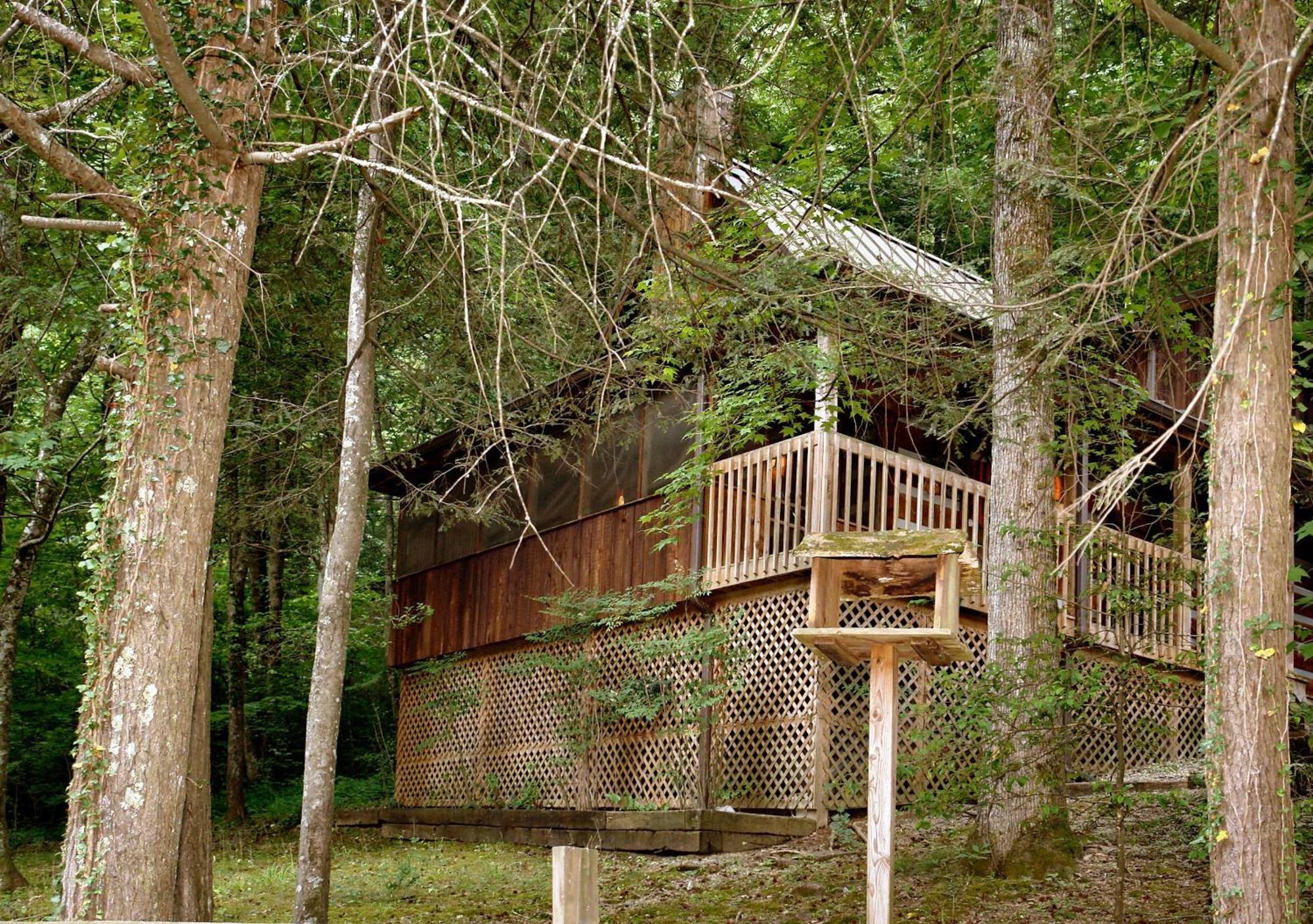 Parkside Party #1676 Villa Gatlinburg Dış mekan fotoğraf